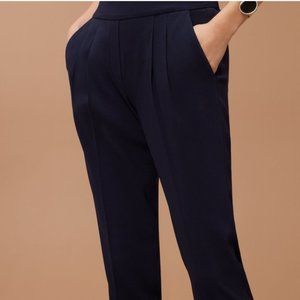 Aritzia Babaton Conroy Pants